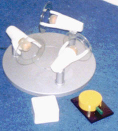 light5.jpg (21992 bytes)