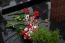 p8m.jpg